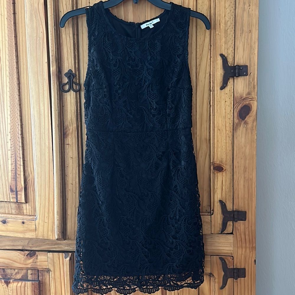 Papaya Fully Lined Lace Dress
